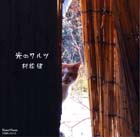 knmn-05415「光のワルツ」